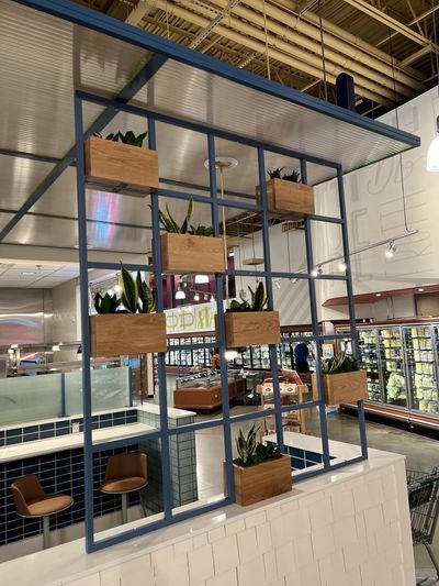 Snake plants in wood planters on a blue metal grid room divider.