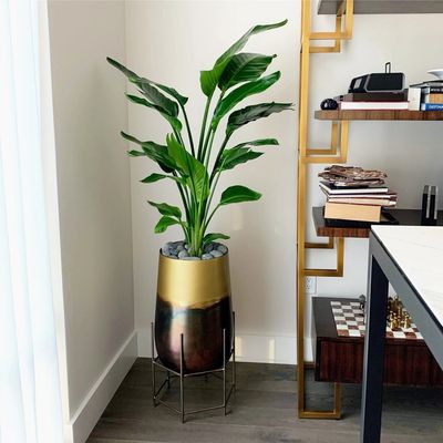 A tall bird of paradise plant in a gold metallic planter styling a home office