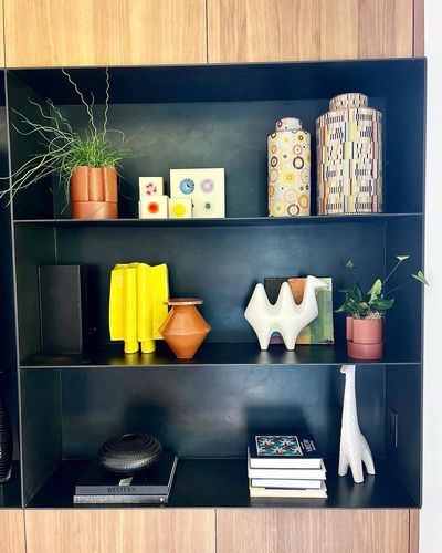 Black bookshelf styled with indoor plants, corkscrew rush, and terracotta vessels.