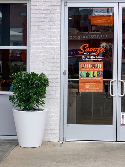 Restaurant entry with a white planter, evergreen shrub, and glass facade.