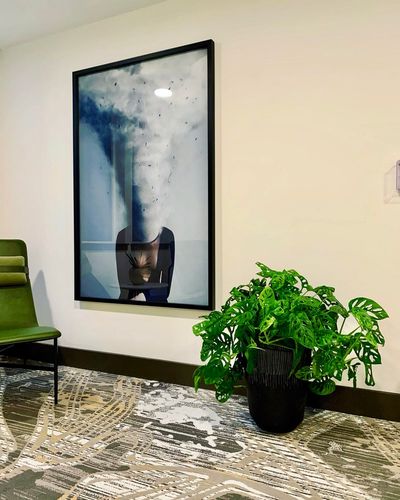 Tan leather sofa and gallery wall in a client-facing office lounge with a snake plant grouping