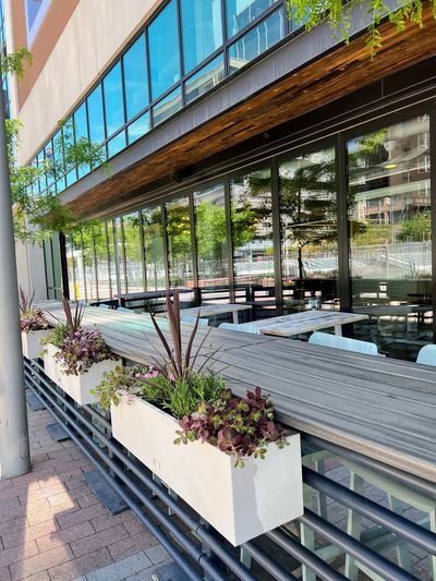 Outdoor bar lined with white planters, succulents, and patio stools.