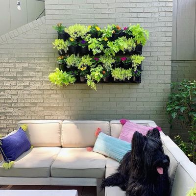 Outdoor herb wall planter near a residential patio seating area.