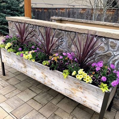Wooden raised planter box on a stone patio wall filled with purple cordyline, yellow petunias, and lantana, with bare trees in the background
