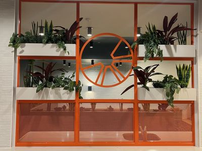 Orange metal display frame with white planter boxes, snake plants, pothos, and calathea.