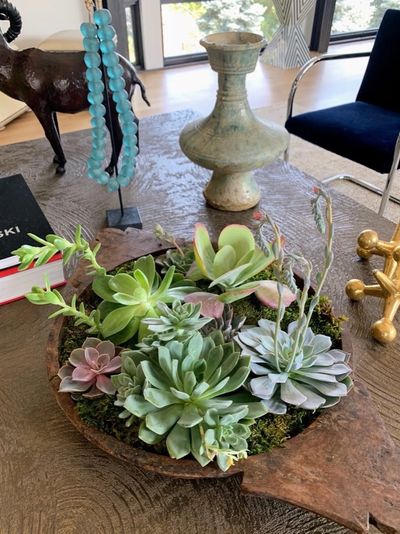 Succulent centerpiece styled in a wooden dough bowl on a residential coffee table.