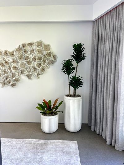 A pair of fluted white planters — a tall dracaena and a shorter red-leafed calathea — staged in a bright living room corner beside a textured wall sculpture and sheer curtains
