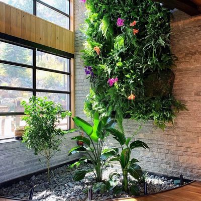 Indoor living wall with tropical plants and zen vibe.