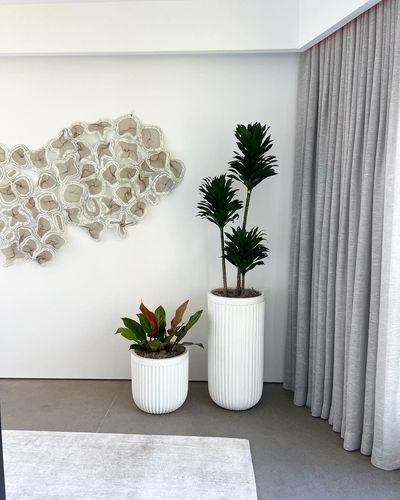 Dracaena and philodendron in white ribbed planters with soft grey curtains.