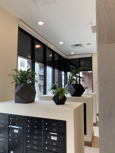 Mailroom row with black faceted planters, dracaena, and pothos.