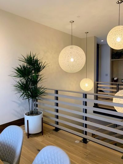 Dracaena marginata dragon tree in a white pot beneath a sphere pendant light in a home interior