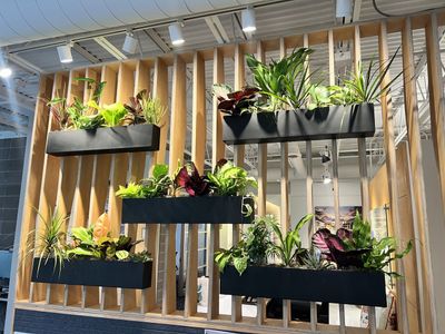 Wood slat partition with staggered black planters forming a vertical garden.