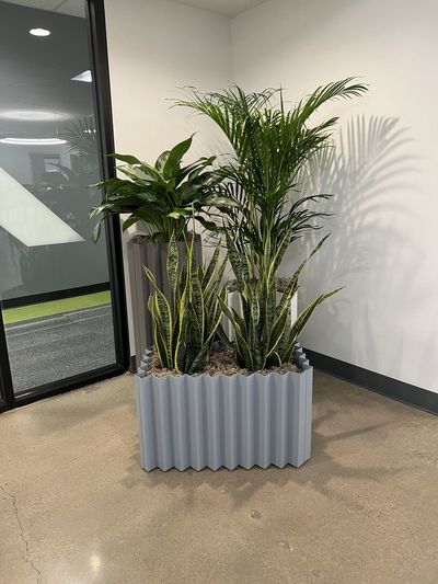 Office with snake plants and a palm in a sculptural accordion planter on a polished concrete floor