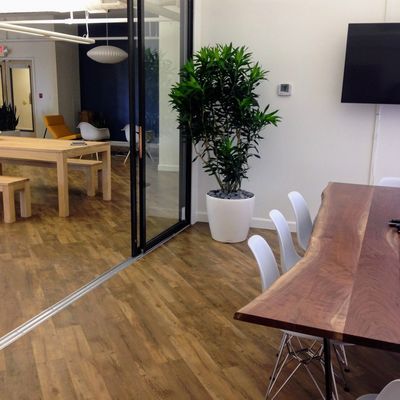Dracaena in a modern conference room with glass walls and task lighting.