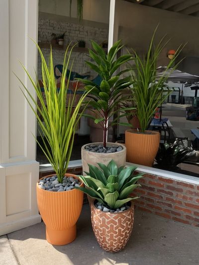 Storefront with orange planters and mixed greenery against brick.
