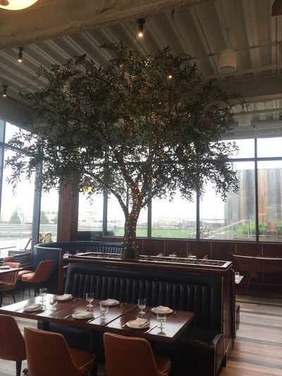 Restaurant dining area with an illuminated olive tree and banquettes.