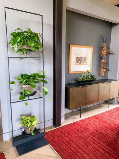 Pothos on a plant shelf tower bringing greenery into a modern workspace.