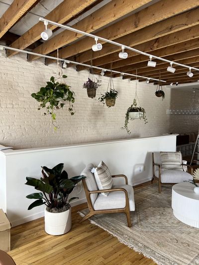 Commercial lounge with philodendron, hanging plants, and white brick.