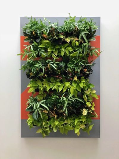 Living green wall panel as art in a contemporary office interior.