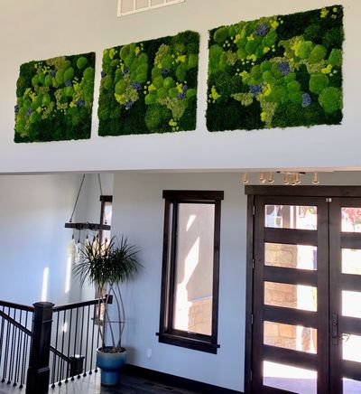 Preserved moss wall triptych in an entryway with a dracaena in a teal pot.